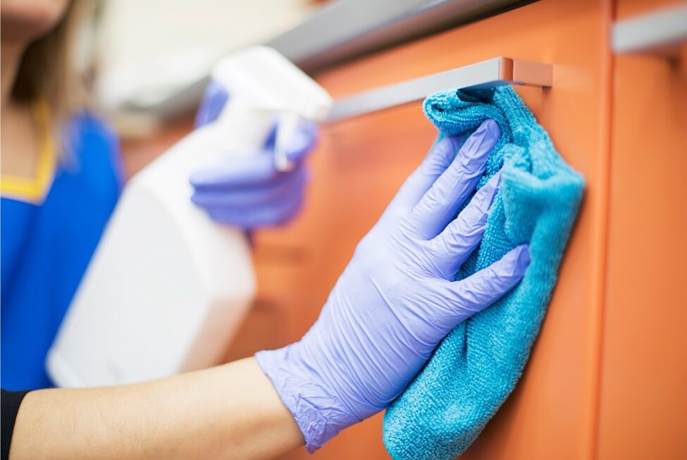 Professional Standard House Cleaning cleaning service